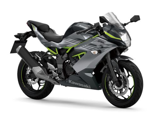 Kawasaki Ninja 125 Šedá 2026
