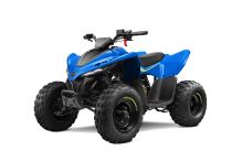 Dětská čtyřkolka CFMOTO X110 LE- modrá Sleva 5.000,- Dětská čtyřkolka CFMOTO X110 LE- modrá Sleva 5.000,-