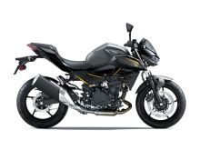 Kawasaki Z500 Šedá 2026 (1)