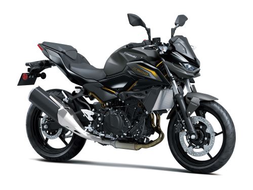 Kawasaki Z500 Šedá 2026