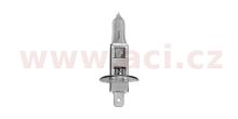 Žárovka H1 12V 55W (patice P14,5s)