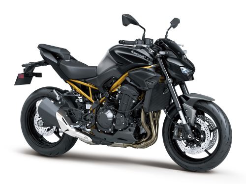 Kawasaki Z900 Šedá se zlatým rámem 2026