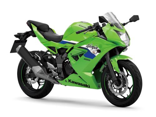 Kawasaki Ninja 125 Zelená 2026