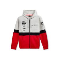 Mikina POSITION ZIP HOODIE, ALPINESTARS (stříbrná/černá/červená)