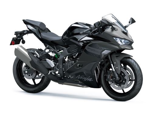 Kawasaki Ninja ZX-4RR Šedá 2026