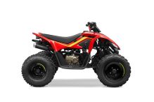 Dětská čtyřkolka CFMOTO X110 LE - červená Sleva 5.000,- (1)