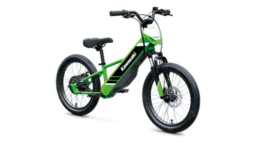 Kawasaki Elektrode 20 2025